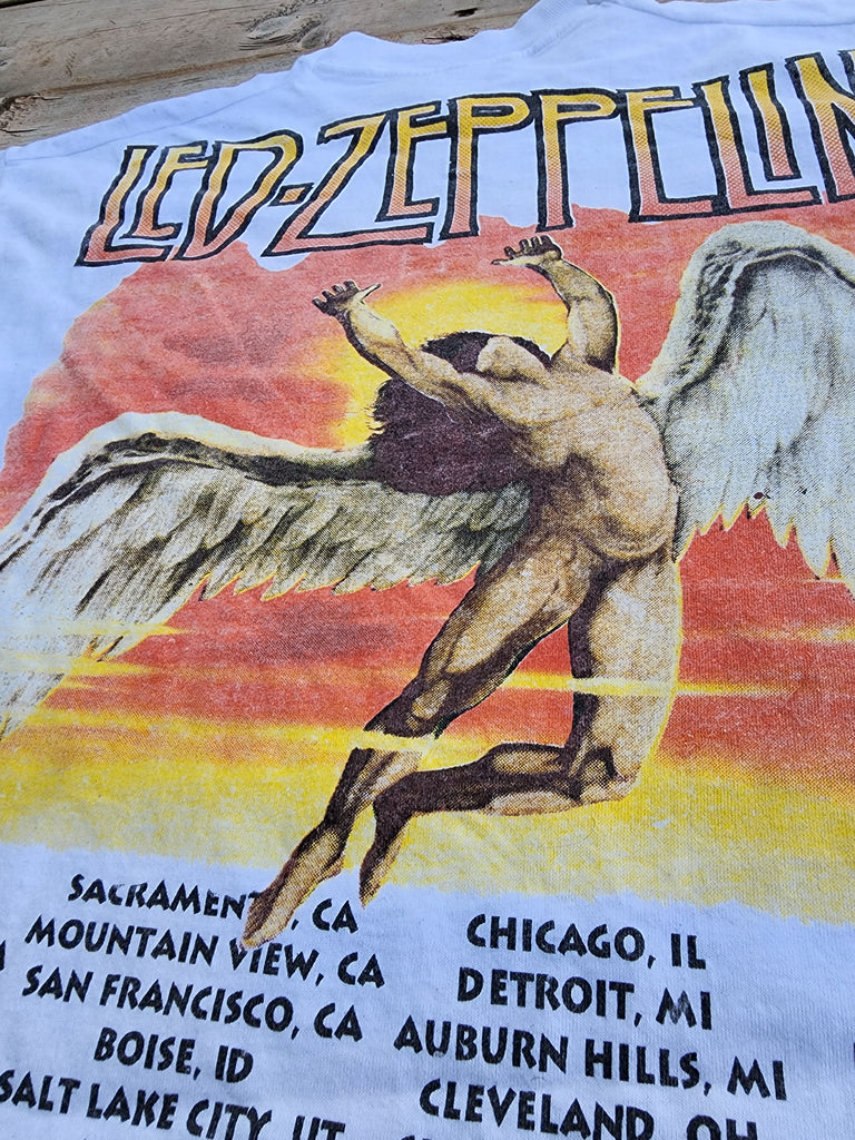 Vintage 1990's Jimmy Page Robert Plant, Led Zeppelin 1995 Tour T-Shirt (Men's XL)