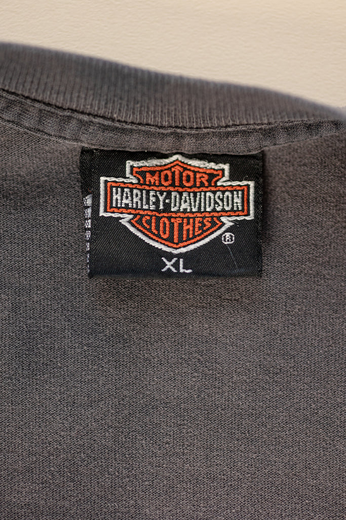 Vintage 1990's Harley-Davidson T-Shirt| The Legend Continues| Spring Rally Myrtle Beach| Distressed & Sun Bleach T-shirt (Men's Medium)