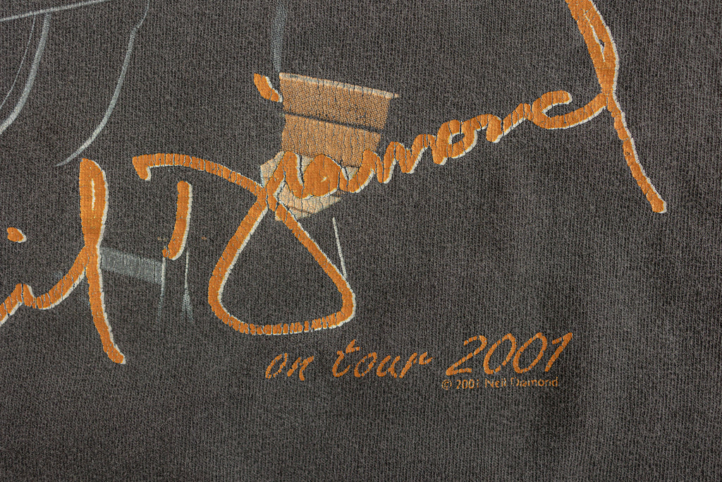 Vintage Neil Diamond T-shirt| Live in Concert 2001| Neil Diamond Tour t-shirt| Country Music T-shirt| Western T-shirt| (Men's 2XL)